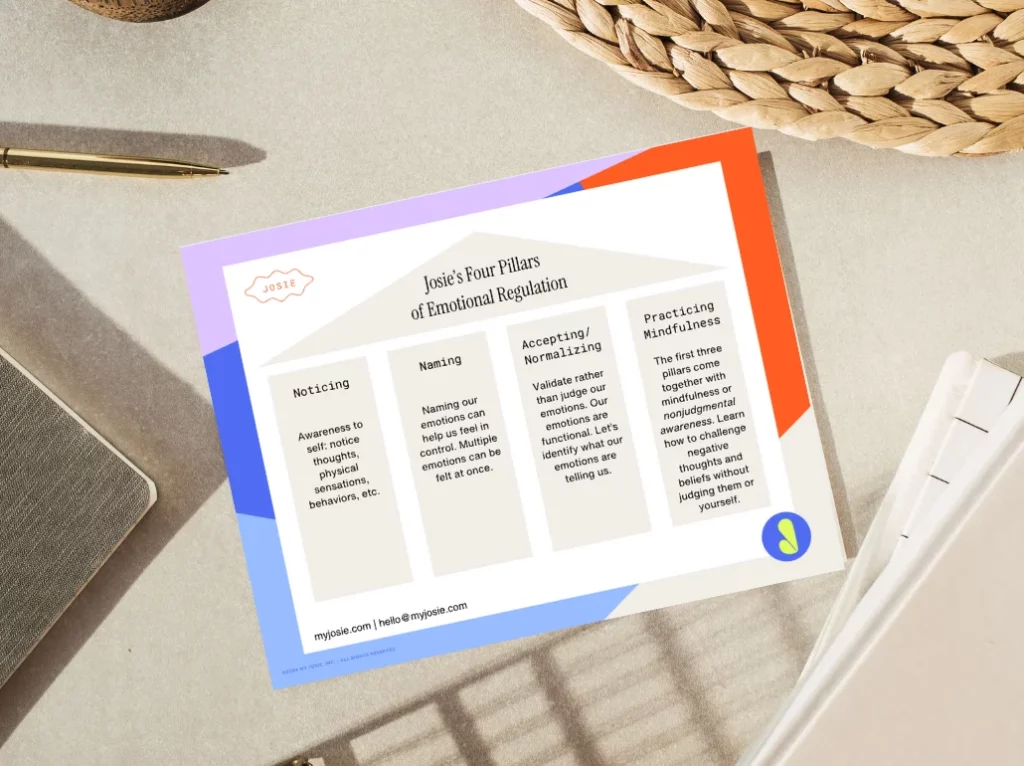 four pillars emotional regulation feature image